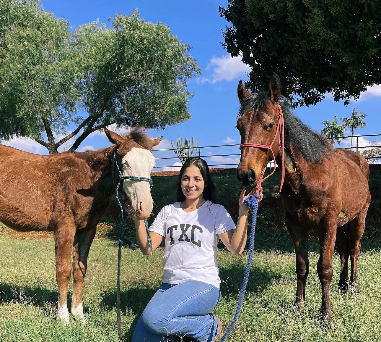 M.V. Danielle Araújo com seus cavalos